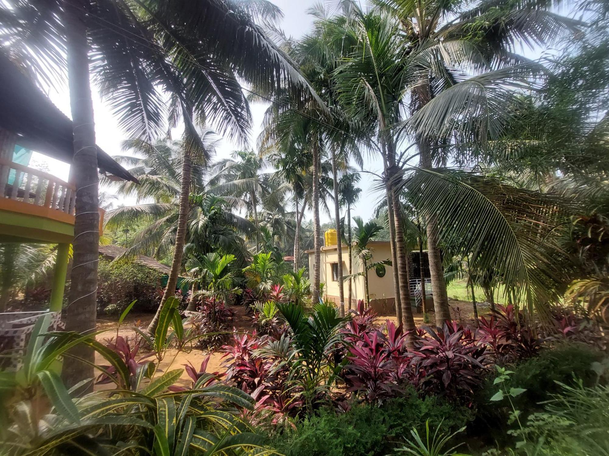ゴカルナ Areca Nestヴィラ エクステリア 写真
