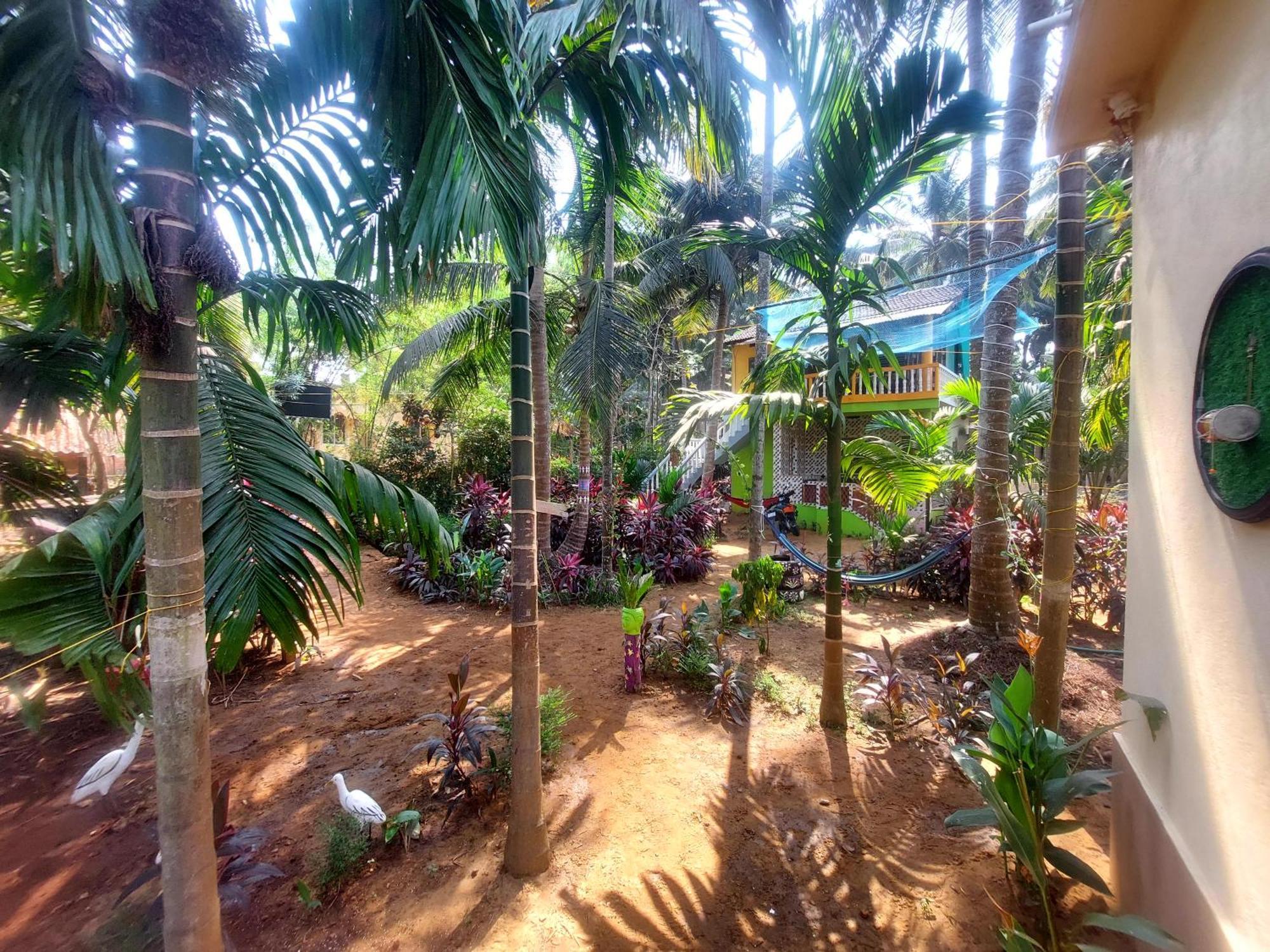 ゴカルナ Areca Nestヴィラ エクステリア 写真
